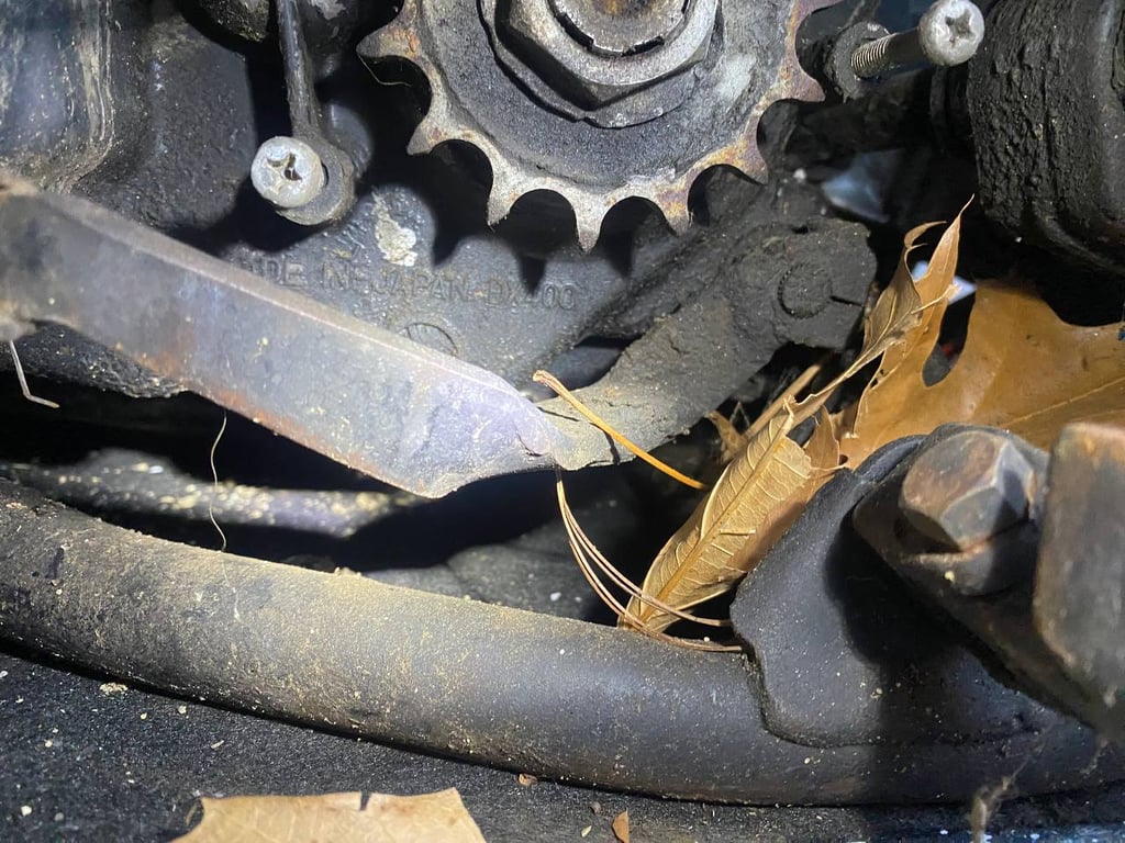 1979 Kawasaki KDX400-A1, before restoration: rear sprocket and chain