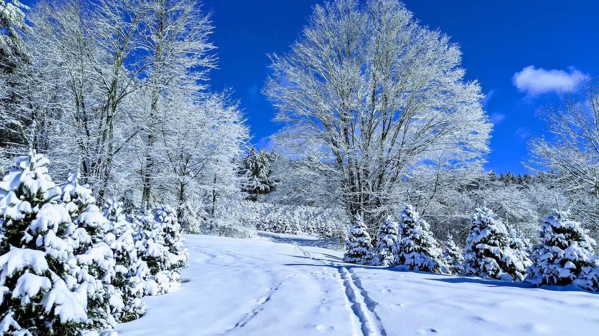 The Ultimate Guide to Winter Motorcycle Storage and Maintenance