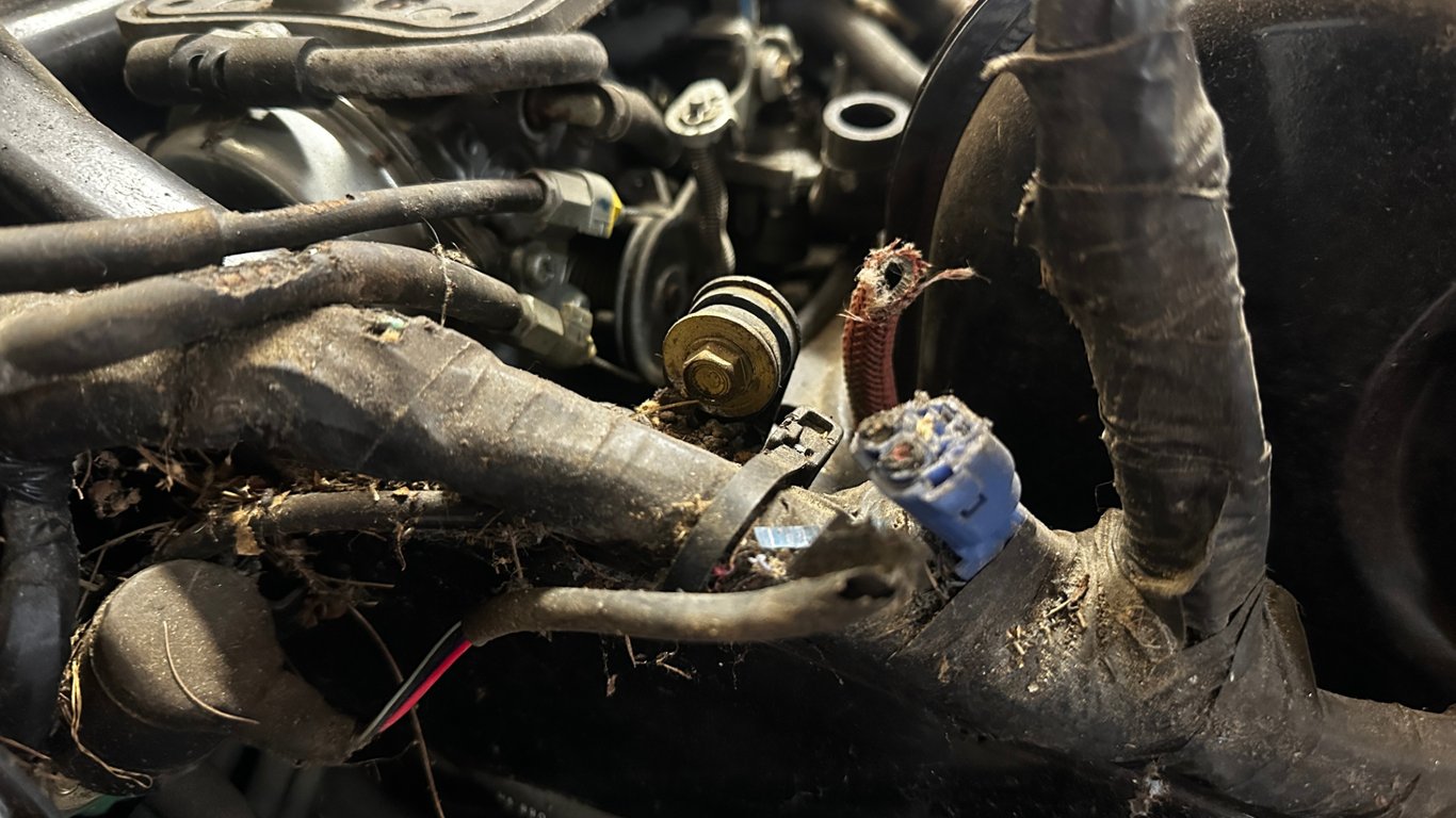 1989 Honda Gold Wing GL1500 Aspencade, restoration in progress: engine bay wiring and hoses
